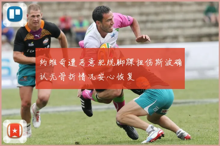约维奇遭恶意犯规脚踝扭伤斯波确认无骨折情况安心恢复